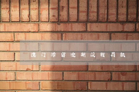 澳门滞留逾期没钱罚款 澳门滞留逾期没钱罚款