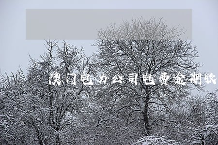 澳门电力公司电费逾期收费 澳门电力公司电费逾期收费