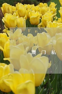 澳门私人换钱违法