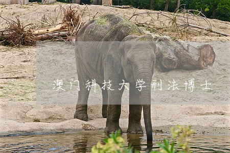 澳门科技大学刑法博士