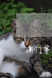 澳门第一次逾期逗留最新规定 澳门第一次逾期逗留最新规定