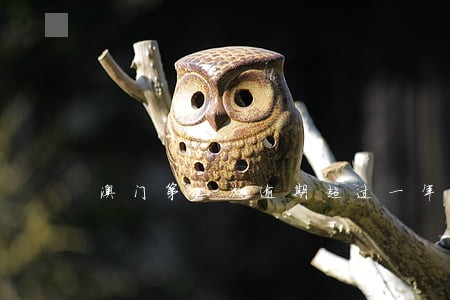 澳门第二次逾期超过一年 澳门第二次逾期超过一年
