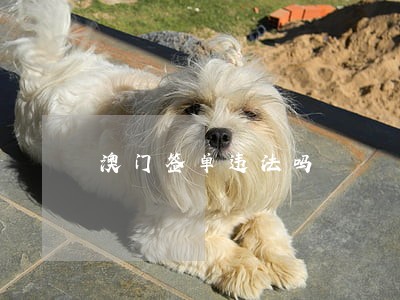 澳门签单违法吗 澳门签单违法吗