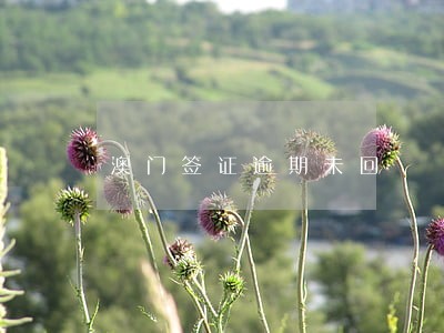澳门签证逾期未回 澳门签证逾期未回