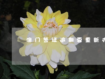 澳门签证逾期要重新办吗 澳门签证逾期要重新办吗