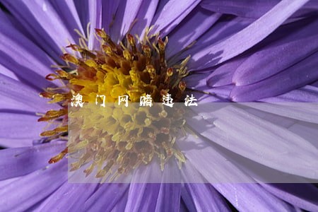 澳门网赌违法