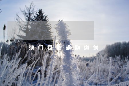 澳门罚款逾期缴纳 澳门罚款逾期缴纳