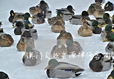 澳门自然资源律师咨询电话 澳门自然资源律师咨询电话