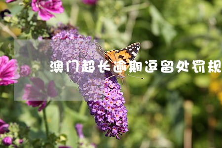 澳门超长逾期逗留处罚规定 澳门超长逾期逗留处罚规定