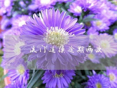 澳门连续逾期两次 澳门连续逾期两次