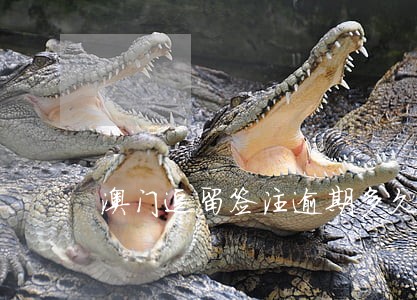 澳门逗留签注逾期多久取消 澳门逗留签注逾期多久取消