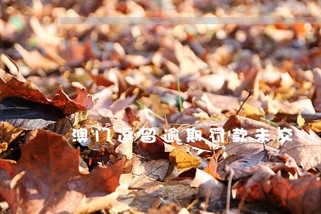 澳门逗留逾期罚款未交 澳门逗留逾期罚款未交