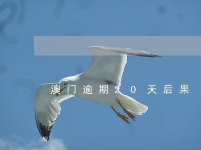 澳门逾期20天后果 澳门逾期20天后果