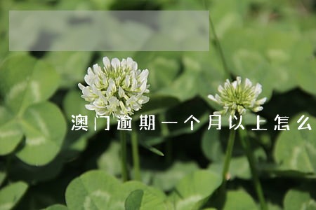 澳门逾期一个月以上怎么办 澳门逾期一个月以上怎么办