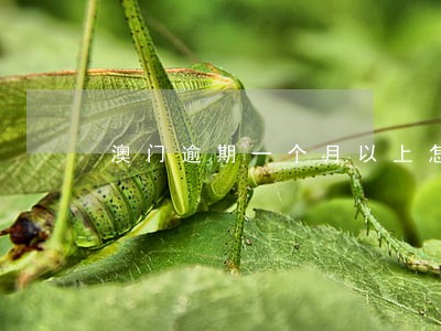 澳门逾期一个月以上怎么处置 澳门逾期一个月以上怎么处置