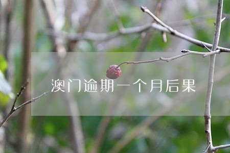 澳门逾期一个月后果 澳门逾期一个月后果