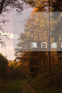 澳门逾期一个月被拘留 澳门逾期一个月被拘留