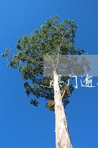 澳门逾期一个月还能进澳门吗 澳门逾期一个月还能进澳门吗