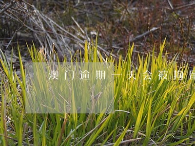 澳门逾期一天会被拘留吗 澳门逾期一天会被拘留吗
