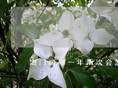 澳门逾期一年两次会怎么样 澳门逾期一年两次会怎么样