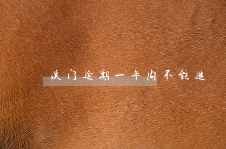 澳门逾期一年内不能进