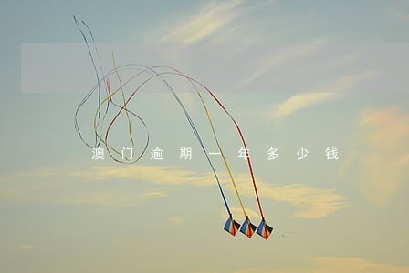 澳门逾期一年多少钱 澳门逾期一年多少钱