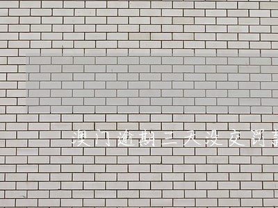 澳门逾期三天没交罚款 澳门逾期三天没交罚款