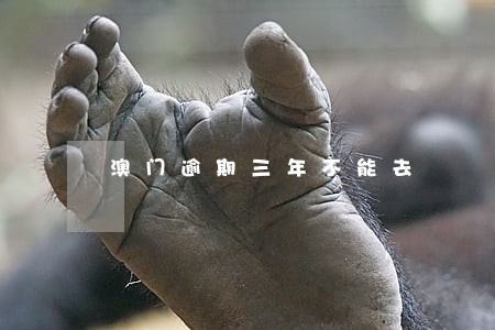 澳门逾期三年不能去 澳门逾期三年不能去