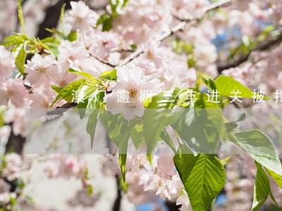 澳门逾期三年进关被拒 澳门逾期三年进关被拒