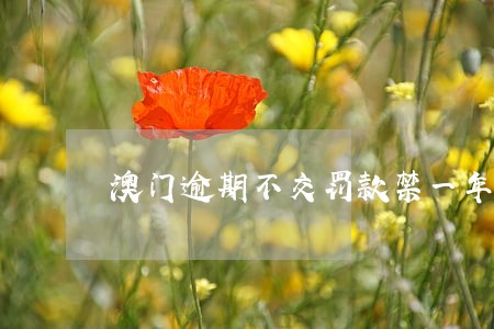澳门逾期不交罚款禁一年能补交吗 澳门逾期不交罚款禁一年能补交吗