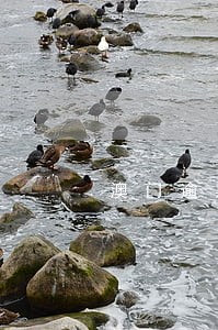 澳门逾期两天 澳门逾期两天