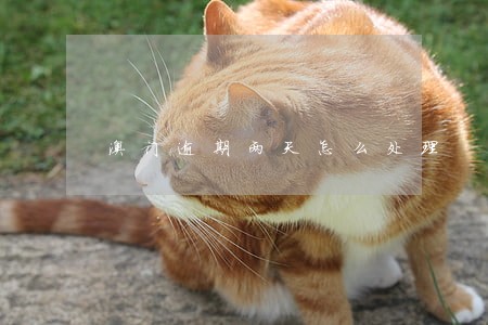 澳门逾期两天怎么处理 澳门逾期两天怎么处理