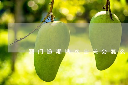澳门逾期两次出关会怎么样 澳门逾期两次出关会怎么样