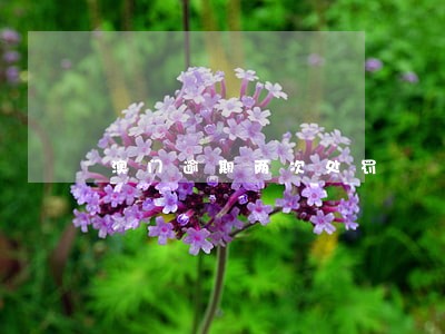 澳门逾期两次处罚 澳门逾期两次处罚
