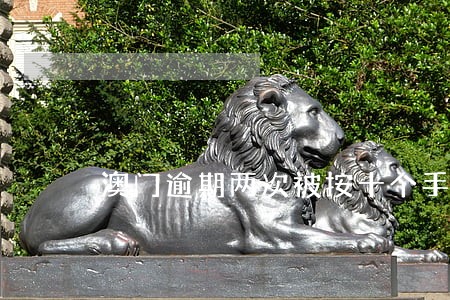 澳门逾期两次被按十个手指 澳门逾期两次被按十个手指
