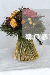 澳门逾期了怎么罚款 澳门逾期了怎么罚款
