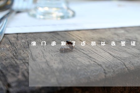 澳门逾期了还可以去签证吗 澳门逾期了还可以去签证吗