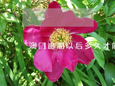 澳门逾期以后多久才能消记录 澳门逾期以后多久才能消记录