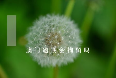 澳门逾期会拘留吗 澳门逾期会拘留吗