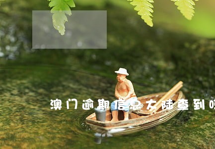 澳门逾期信息大陆查到吗 澳门逾期信息大陆查到吗