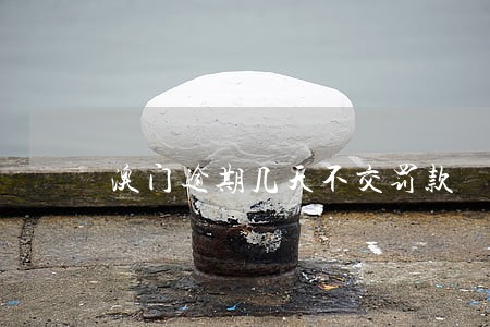 澳门逾期几天不交罚款 澳门逾期几天不交罚款