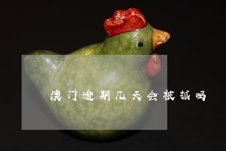 澳门逾期几天会被抓吗 澳门逾期几天会被抓吗