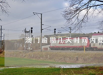 澳门逾期几天时间内要交罚款 澳门逾期几天时间内要交罚款