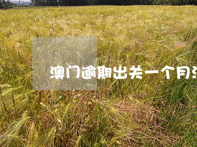 澳门逾期出关一个月没钱交罚款 澳门逾期出关一个月没钱交罚款