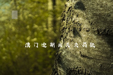 澳门逾期出关交罚款 澳门逾期出关交罚款