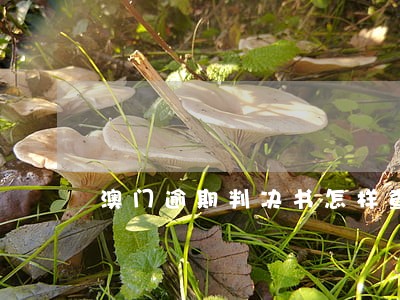 澳门逾期判决书怎样查询 澳门逾期判决书怎样查询