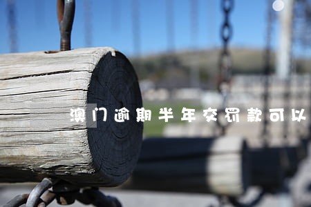 澳门逾期半年交罚款可以吗 澳门逾期半年交罚款可以吗