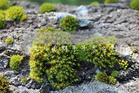 澳门逾期半年怎么判 澳门逾期半年怎么判