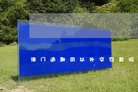 澳门逾期可以补交罚款吗 澳门逾期可以补交罚款吗