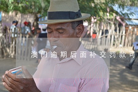 澳门逾期后面补交罚款可以吗 澳门逾期后面补交罚款可以吗